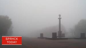 МЧС и синоптики предупредили брянцев о гололеде и тумане 14 февраля