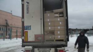 На брянской трассе задержали фуру с 20 тоннами санкционных груш из Нидерландов