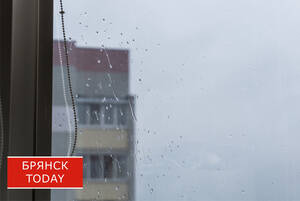 Желтый уровень опасности: брянцам продлили страшные предупреждения