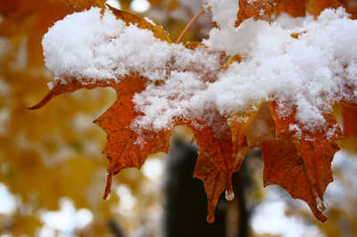 В Брянске 7 октября выпал первый снег