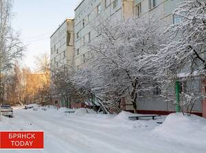 Тишковец заявил, что лютых морозов этой зимой больше не будет в Брянской области