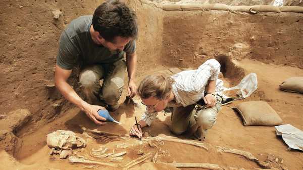 Открытие брянских археологов вошло в десятку открытий прошедшего года