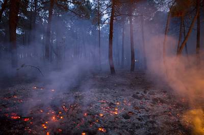 В Брянской области за сутки произошло 35 пожаров
