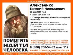 В Брянской области без вести пропал 66-летний Евгений Алексеенко