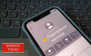 Мошенники выманили у брянцев 3,5 миллиона за неделю