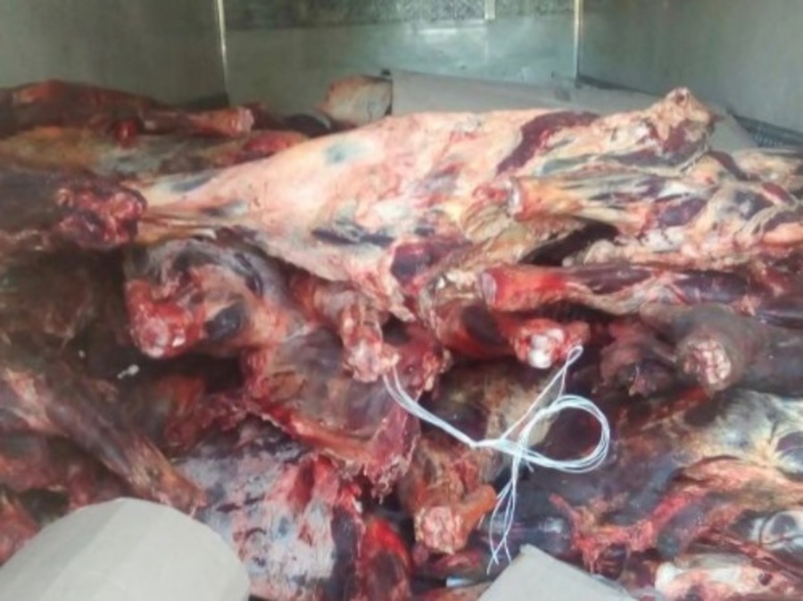 В Брянской области остановили восемь тонн подозрительного мяса
