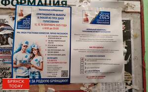 Более 3 тысяч  наблюдателей обеспечат чистоту выборов в Брянской области