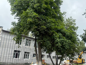 Ремонт детсада «Солнышко» в Жуковке перешагнул «экватор»