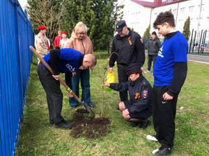 В Унече транспортные полицейские высадили «Сад Памяти»