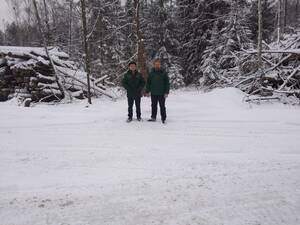 Брянские лесники подвели итоги охраны новогодних елей