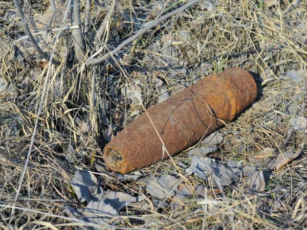 В Севском районе нашли артиллерийский снаряд