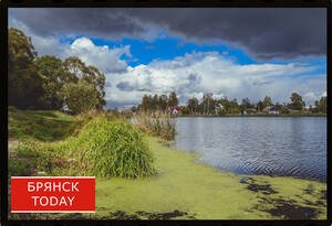 Буря и покой