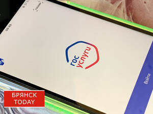 Алиментарно: брянских горе-папаш занесли в реестр