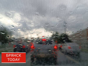 Дожди с грозами пообещали брянцам 26 августа