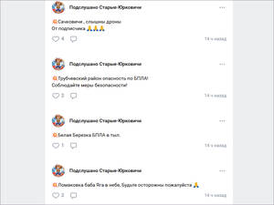 Гигантский дрон-убийца замечен в брянском приграничье