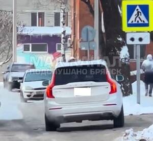 В Брянске 60-летнюю женщину на Volvo наказали по видео в соцсетях