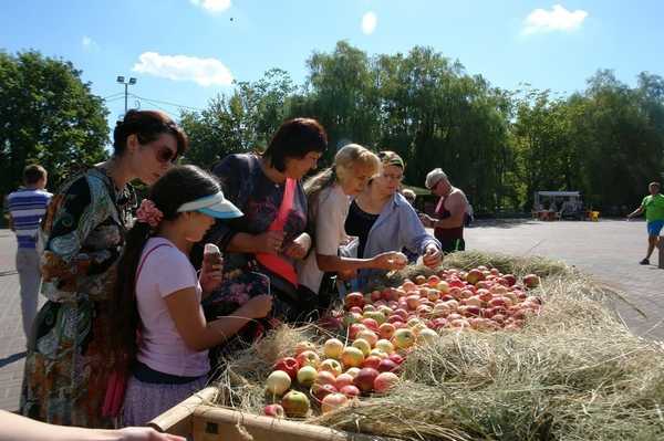 Брянцев пригласили на фестиваль «Яблочный спас»