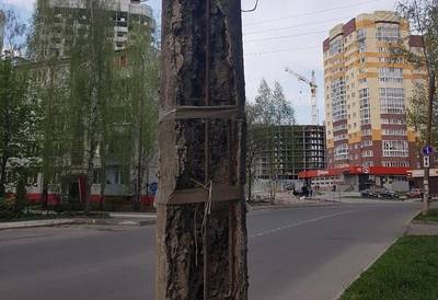 В Брянске сняли на фото аварийный столб в переулке Пилотов