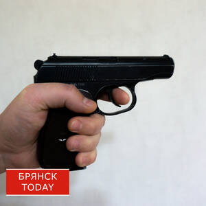 У брянцев за нарушения изъяли семь единиц оружия