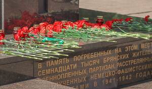 В канун Дня памяти и скорби в Брянске прошёл митинг