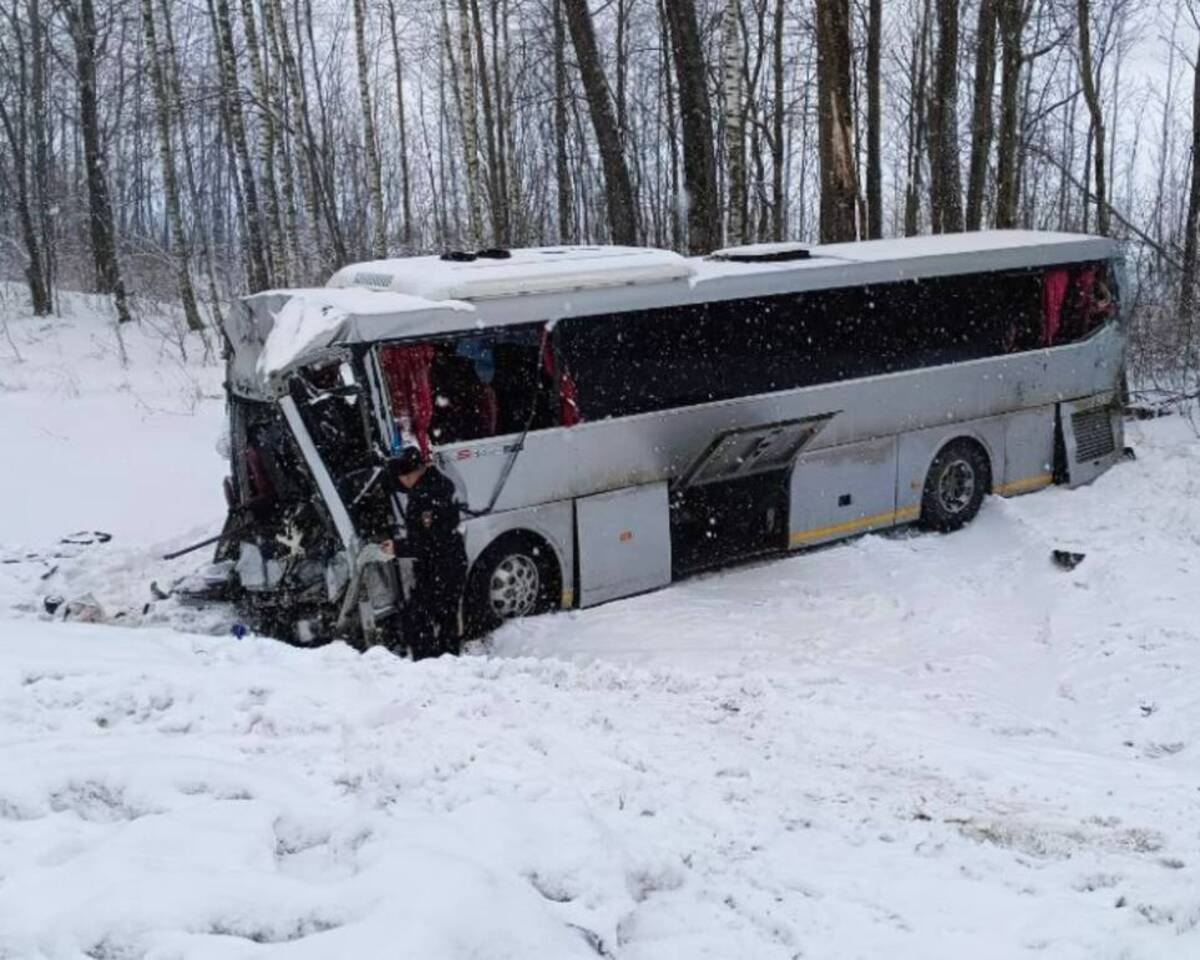 Белорус за ДТП с автобусом Брянск - Санкт-Петербург отсудил 450 000 рублей