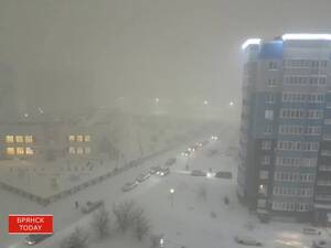 Туман и гололёд: в Брянской области объявлено предупреждение на сутки