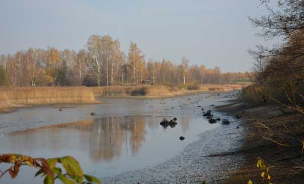 Озеро под Новозыбковом находится на грани исчезновения