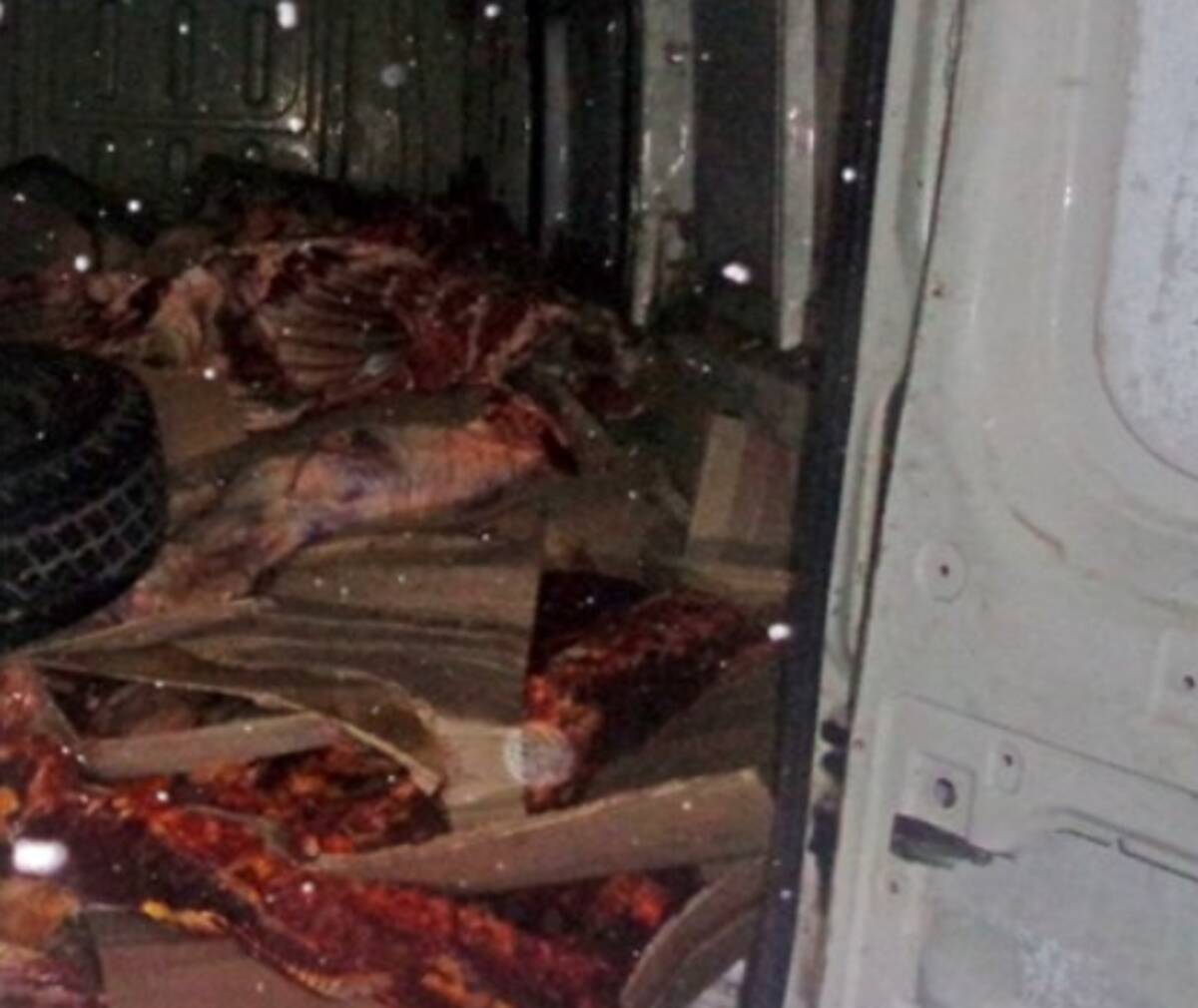 В Брянской области забраковали тонну опасного мяса