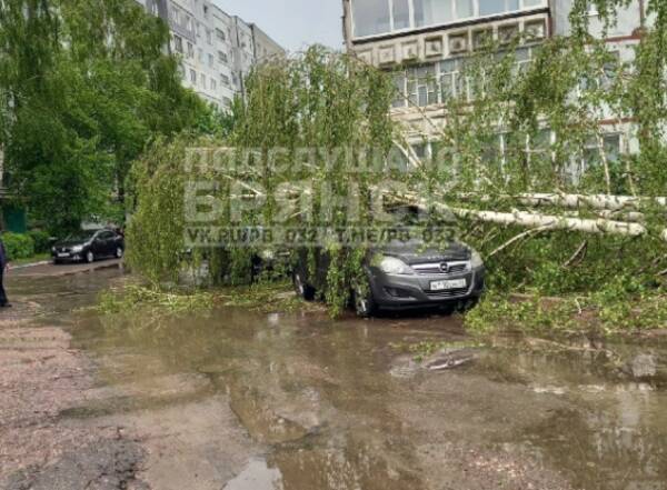 Ддт пролетело и упало на столе