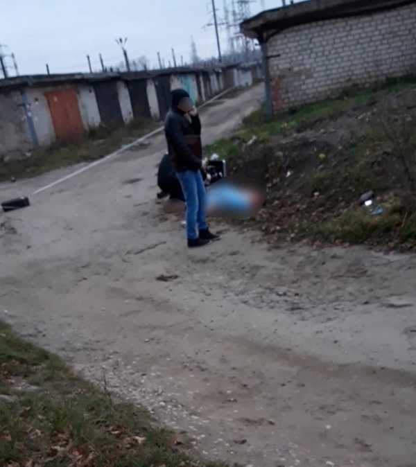 Соцсети: собаки в Брянске загрызли женщину