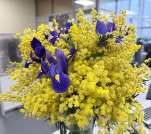 Новые впечатления и звезды с неба: что дарят брянские мужчины своим спутницам