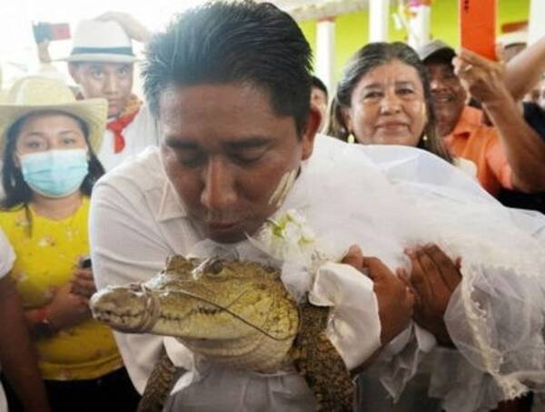 Мэр города женился на крокодилице, чтобы улучшить жизнь народа