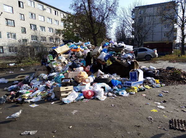 В Брянске сняли на фото мусорный апокалипсис на улице Ново-Советской
