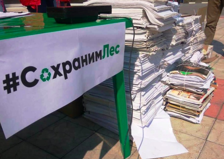 Брянщина стала четвертой в общероссийской акции «Сохраним лес»
