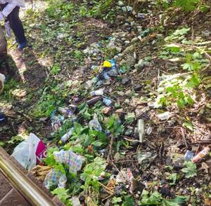 В Брянске лестница к улице Калинина утонула в мусоре