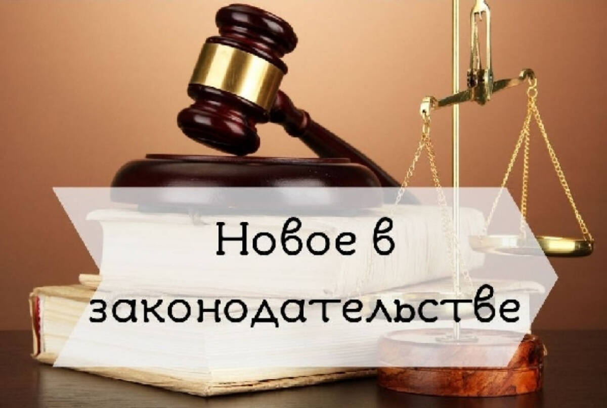 Проект в законодательстве это