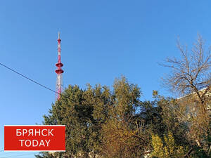 Световое шоу устроят в Брянске в честь Дня учителя