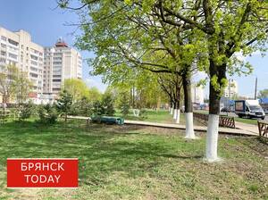 В Брянской области 2 августа прогнозируют 32-градусную жару