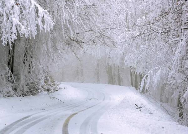 В Брянской области при 2 градусах тепла ожидается мокрый снег 6 декабря