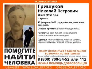 В Брянске бесследно исчез 70-летний Николай Гришуков с бородой и усами