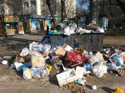 Стародубские чиновники забыли о мусорной проблеме