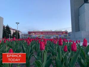Вечером в Брянской области будет дождь