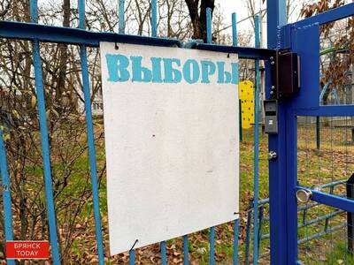 В Брянске подвели первые итоги наблюдения за выборами