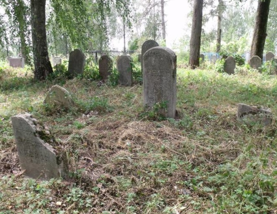 Этнографическая экспедиция иследует старое еврейское кладбище в Стародубе 