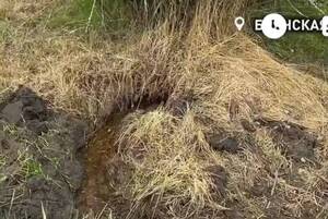 В Брянске осушили болото с питьевой водой по улице Луговой