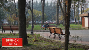 Тепла не стоит ждать: Брянщина вступает в предзимье
