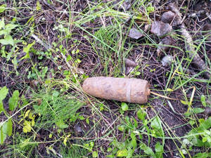 Саперы предотвратили два взрыва под Брянском