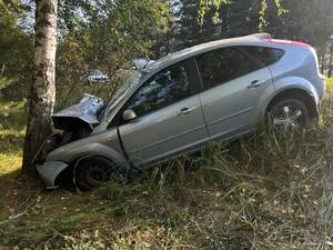 В Выгоничском районе легковой автомобиль съехал в кювет и врезался в дерево