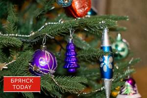 80 кубометров ёлок переработали в Брянске по итогам акции «Ёлочный круговорот»