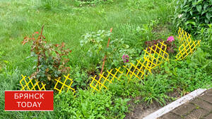 Комплексное благоустройство участков под ключ: создание комфортного и эстетичного пространства